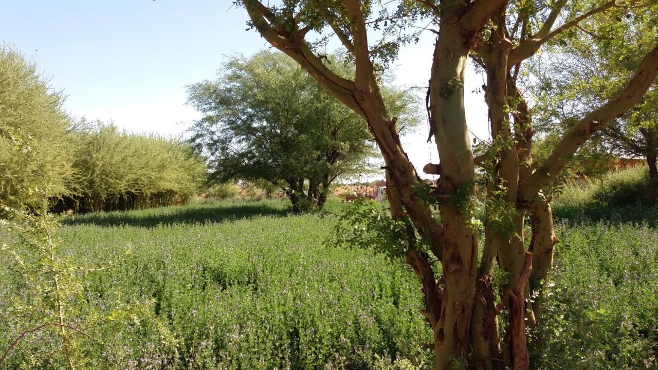 Cabanas El Chanar San Pedro de Atacama Buitenkant foto